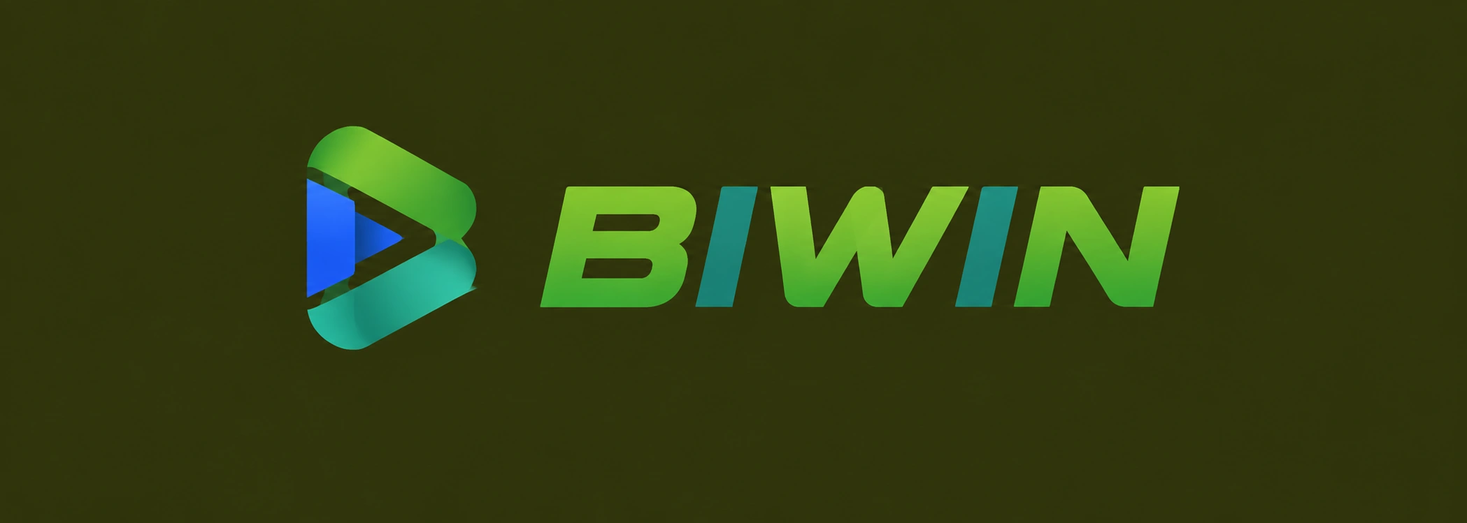 BIWIN Logo